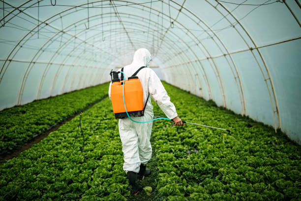 Best Affordable Pest Control Services  in Pojoaque, NM