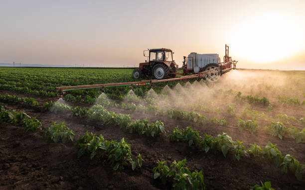 Best Commercial Pest Control Services  in Pojoaque, NM