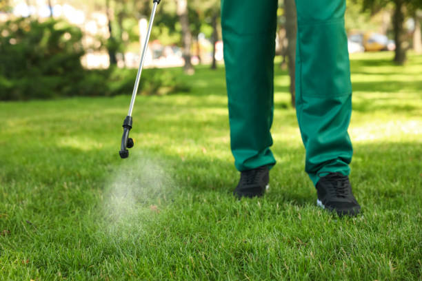 Best Wildlife Control Services  in Pojoaque, NM