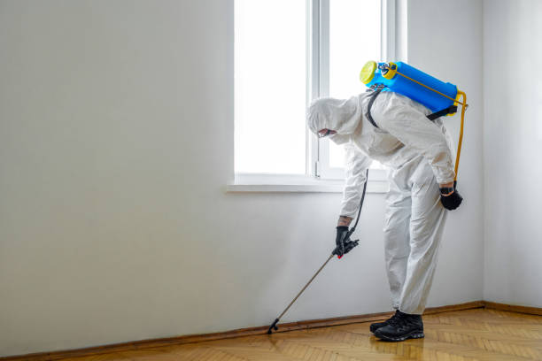 Best Rat Extermination Near Me  in Pojoaque, NM