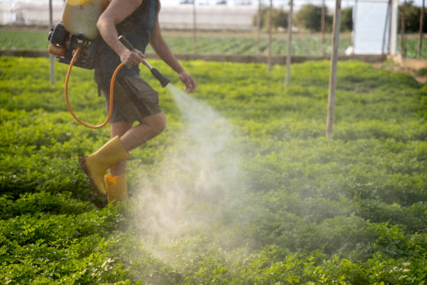 Best Wildlife Control Services  in Pojoaque, NM