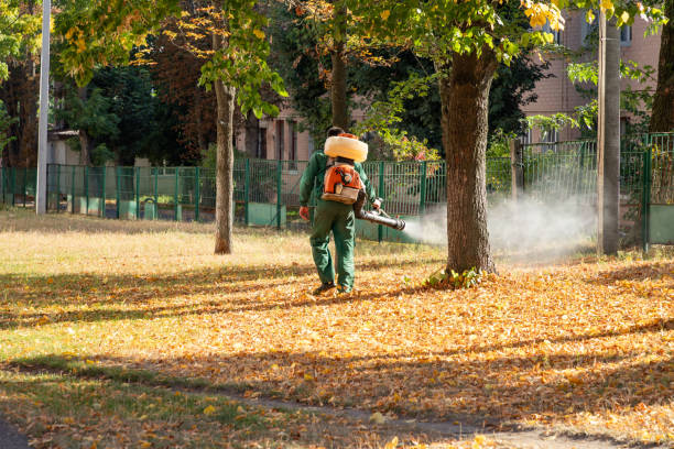Best Flea Control Services  in Pojoaque, NM