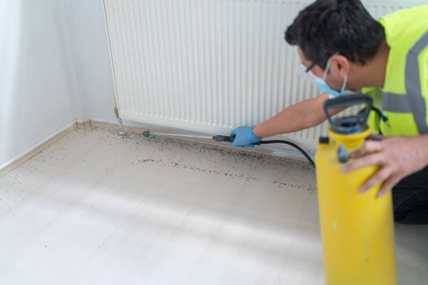 Best Pest Control for Businesses  in Pojoaque, NM